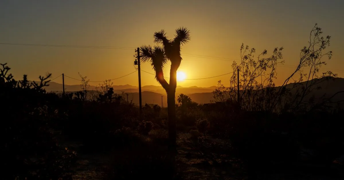 Critical Fire Weather Warning Hits Southern California Counties as Strong Winds and Single-Digit Humidity Raise Wildfire Risk Through Saturday Night